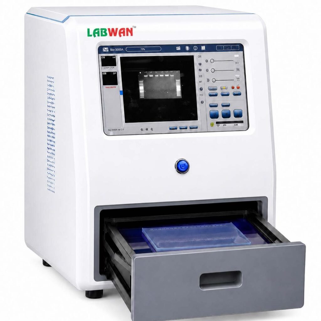 Gel Imaging Systems