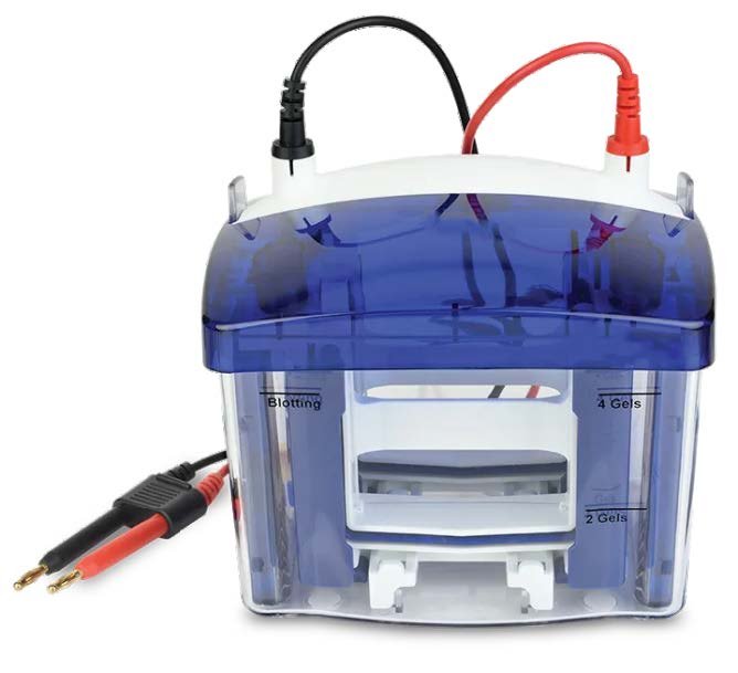 Electrophoresis Systems